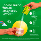 Magnesol Efervescente Limon 5G - Caja 33 UN, , large image number null