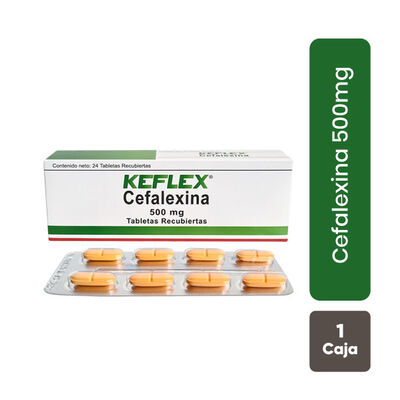 Keflex 500 MG - Caja 24UN
