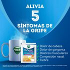 VitaPyrena Forte Miel y Lim&oacute;n 5G - Sobre 1 UN, , large image number null