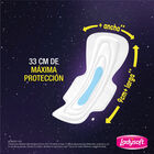 Ladysoft Nocturna Maxi Pro - Bolsa 10 UN, , large image number null