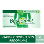 Buscamint C&aacute;psula Blanda Gastrorresistente - Caja 12 UN, , large image number null