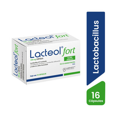 Lacteol Fort 340 mg C&aacute;psulas - Caja 16 UN