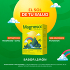 Magnesol Efervescente Limon 5G - Caja 33 UN, , large image number null