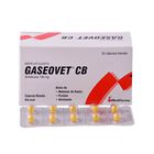 Gaseovet CB 180mg C&aacute;psulas Blandas - Bl&iacute;ster 10 UN, , large image number null