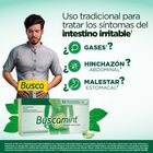 Buscamint C&aacute;psula Blanda Gastrorresistente - Caja 12 UN, , large image number null