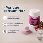 Cranberry Polvo - Frasco 80 Gr, , large image number null