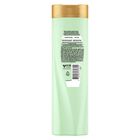 Shampoo Sedal Prebi&oacute;ticos + Biotina - Frasco 340 ML, , large image number null