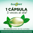 Buscamint C&aacute;psula Blanda Gastrorresistente - Caja 12 UN, , large image number null