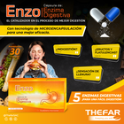 Enzo C&aacute;psulas De Enzimas Digestivas - Caja 30 UN, , large image number null