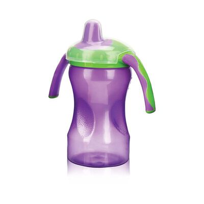 Pandita Toma Todo Morado  - Frasco 300 Ml