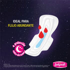 Ladysoft Nocturna Maxi Pro - Bolsa 10 UN, , large image number null