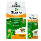Gloranta Caramelo Sabor Jenjibre - Sobre 1 UN, , large image number null