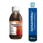 Dayamineral Jarabe - Frasco 120 Ml, , large image number null