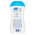 Savital Shampoo Anticaspa T&eacute; Seda L&iacute;quida y S&aacute;bila - Frasco 510 ML, , large image number null