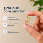 Transicol Ciruela y Tamarindo - Frasco 100 c&aacute;psulas, , large image number null