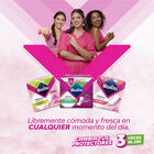 Nosotras Protectores Diarios Desodorante - Bolsa 15 UN, , large image number null