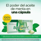 Buscamint C&aacute;psula Blanda Gastrorresistente - Caja 12 UN, , large image number null
