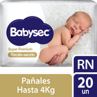 Pa&ntilde;al Babysec Reci&eacute;n Nacido - Bolsa 20 UN, , large image number null