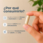 Colagesol 500Mg C&aacute;psulas - Frasco 100 UN, , large image number null