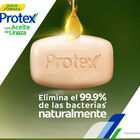 Jab&oacute;n Protex  Fresh - Barra 110 G, , large image number null