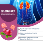 Cranberry Polvo - Frasco 80 Gr, , large image number null
