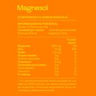 Magnesol Efervescente Naranja 5G - Caja 33 UN, , large image number null