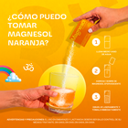 Magnesol Efervescente Naranja 5G - Caja 33 UN, , large image number null
