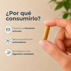 Curcumin C&aacute;psulas - Frasco 100 UN, , large image number null