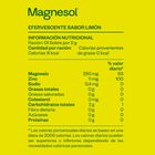 Magnesol Efervescente Limon 5G - Caja 33 UN, , large image number null
