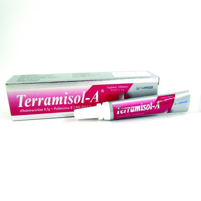 Terramisol-A Ungto Oft&aacute;lmica - Tubo 6 G