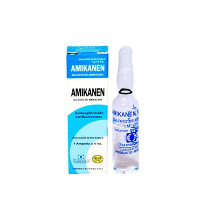 Amikanen 1G/4ML - Ampolla 1 UN