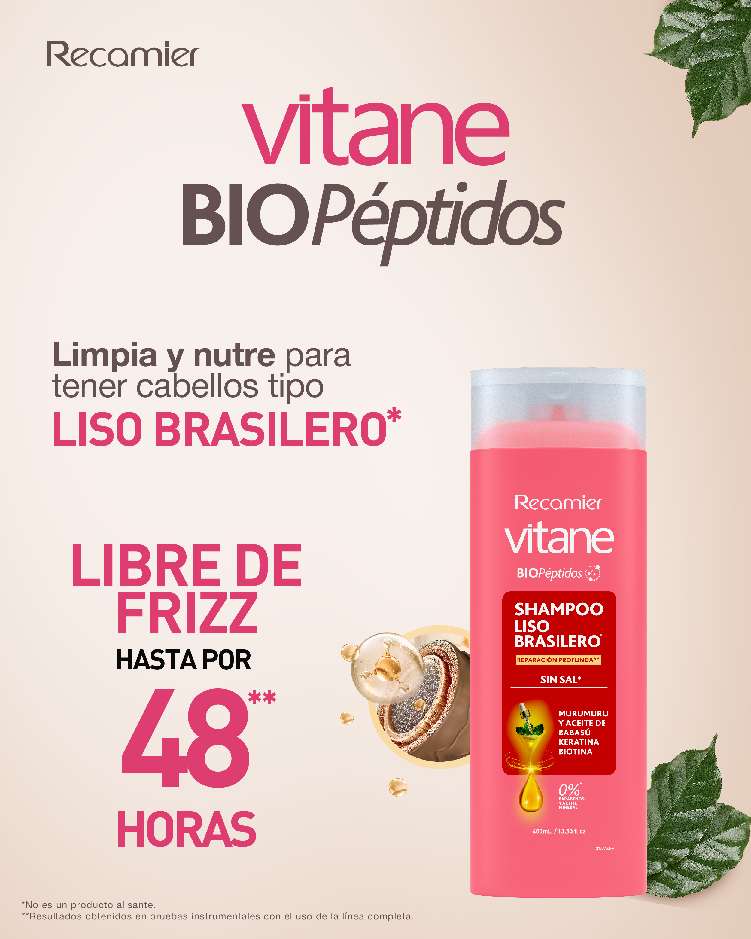 Vitane Shampoo Liso Brasilero - Frasco 400 Ml, , large image number null