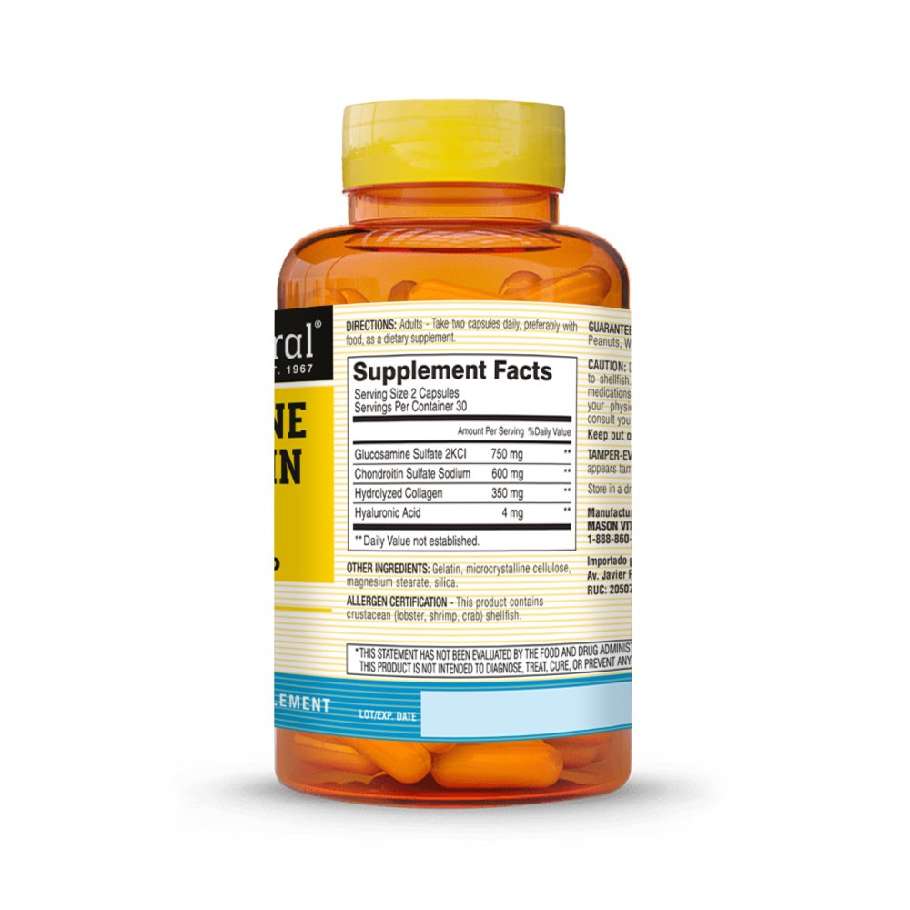 Glucosamine Chondroitin Advance - Frasco 60 UN, , large image number null