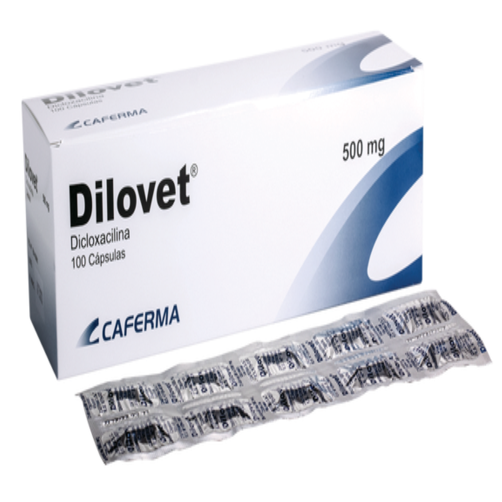 Dilovet 500Mg  - Blister 10 UN, , large image number null