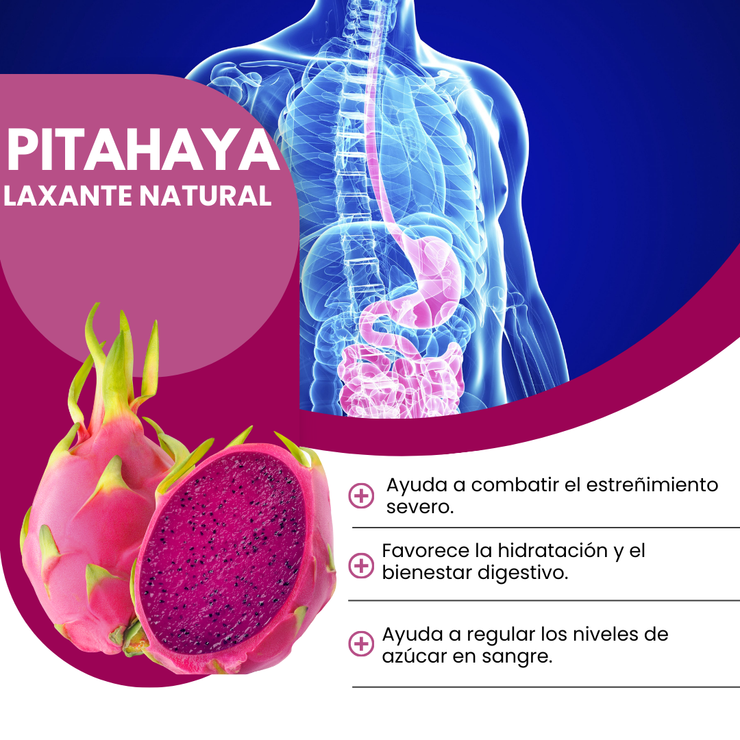Pitahaya Hylocereus Undatus - Frasco 80 Gr, , large image number null