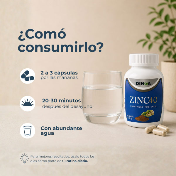 Zinc 40 C&aacute;psulas - Frasco 100 UN, , large image number null