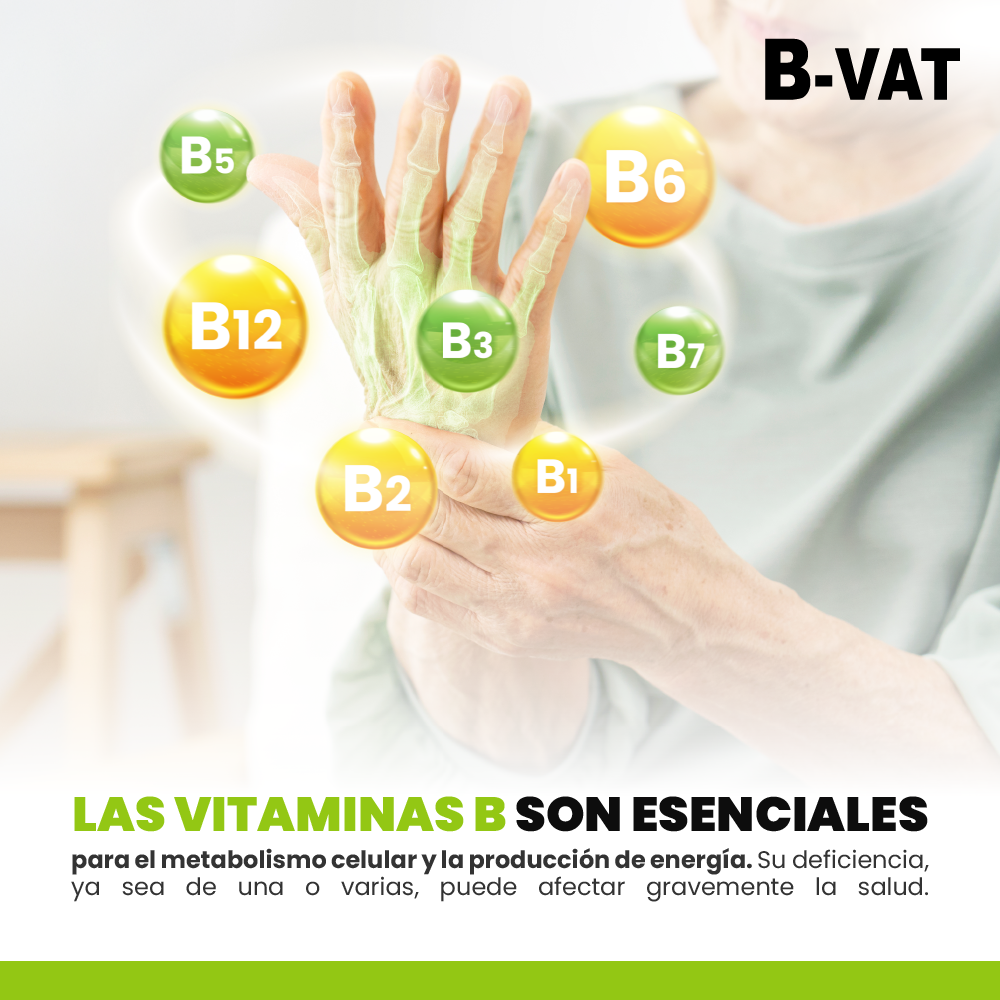 B-VAT Forte Soluci&oacute;n Inyectable image number null