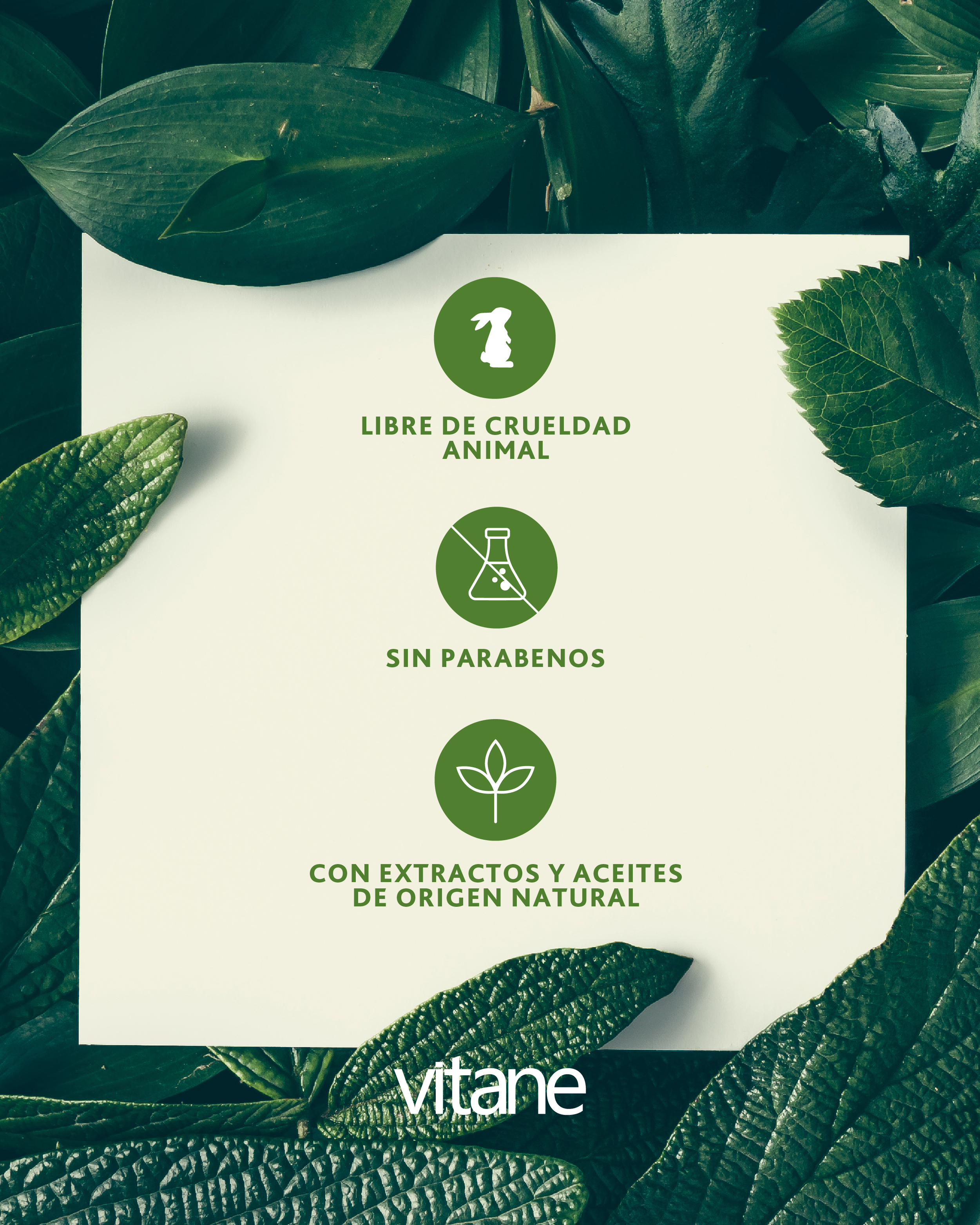 Vitane Shampo Anticaida  - Frasco 400 Ml, , large image number null