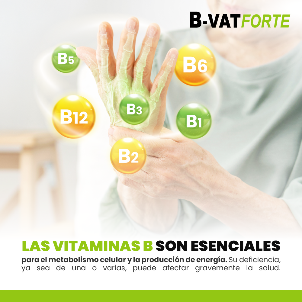 B-VAT Forte ampollas  (Vitamina complejo B), , large image number null