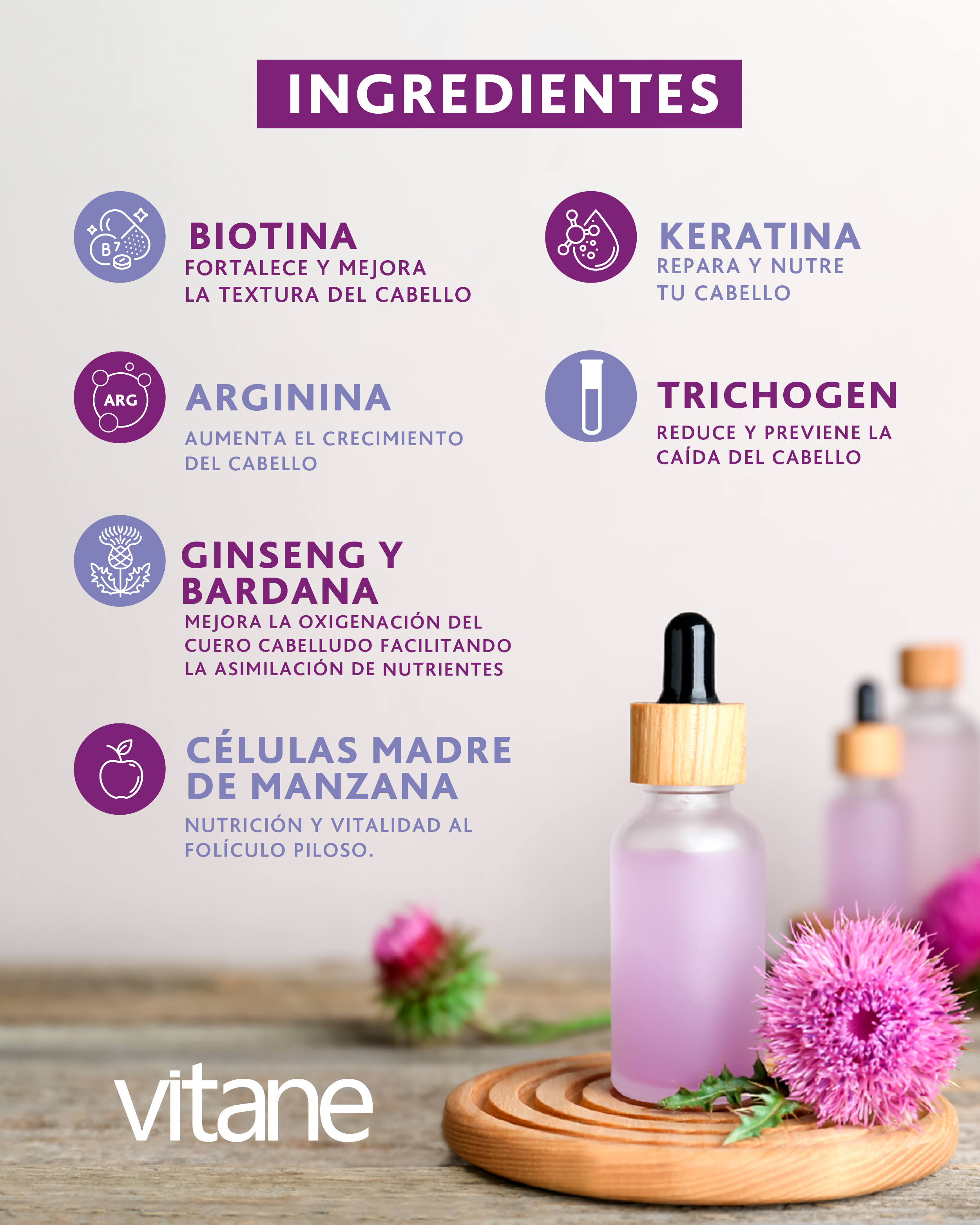 Vitane Shampo Anticaida  - Frasco 400 Ml, , large image number null