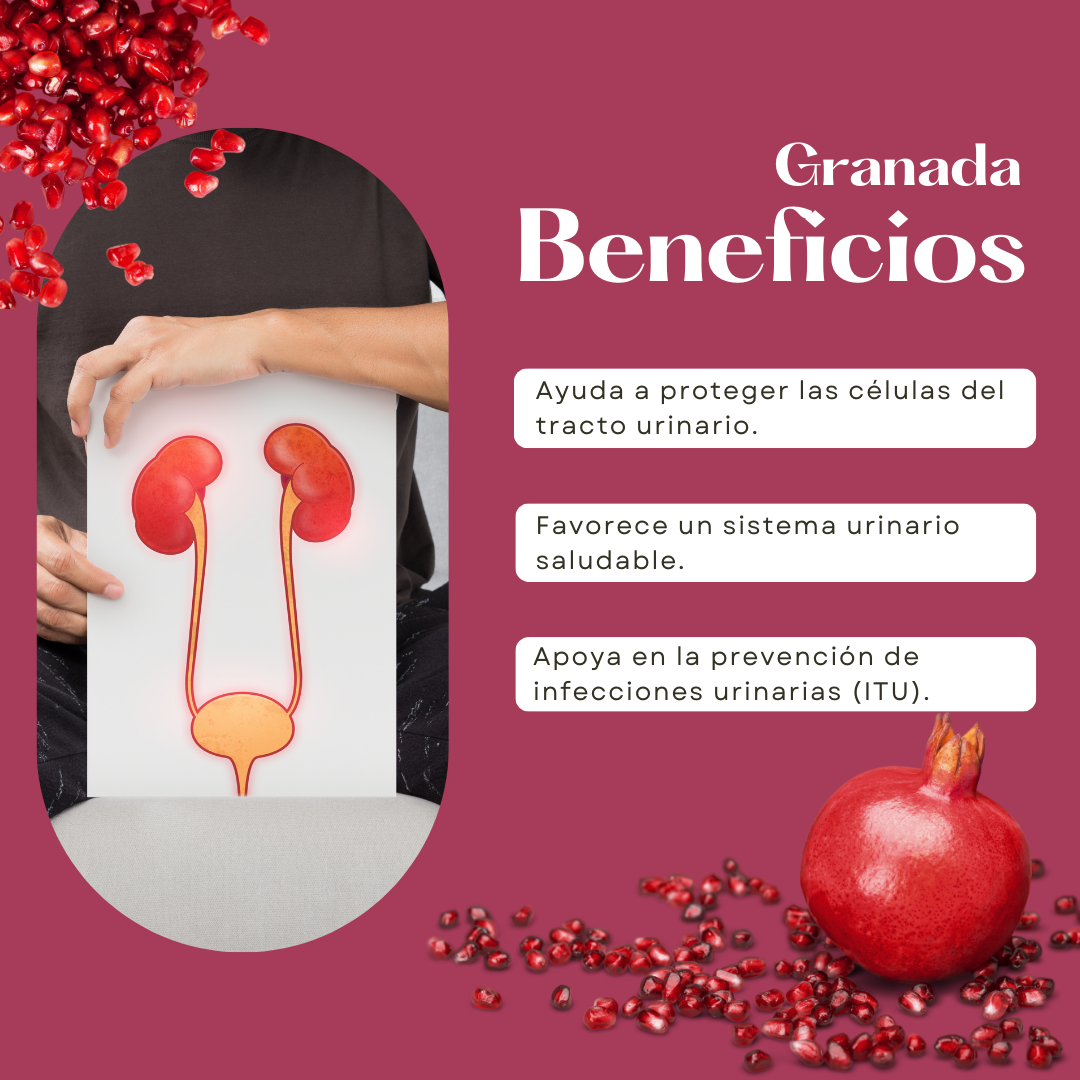 Granada Polvo - Frasco 80 Gr, , large image number null