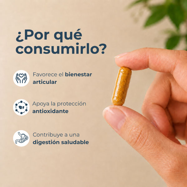 Curcumin C&aacute;psulas - Frasco 100 UN, , large image number null